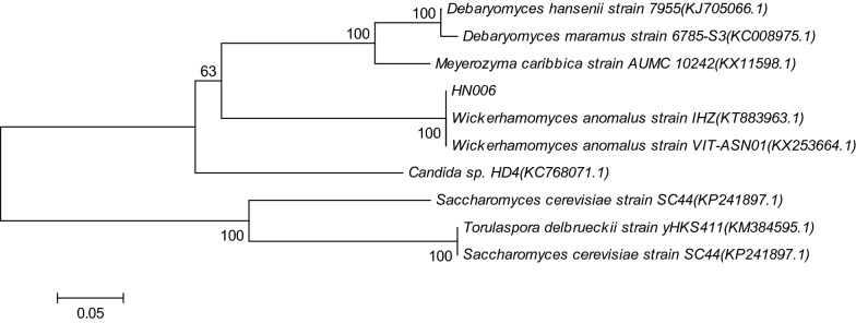 Fig. 1