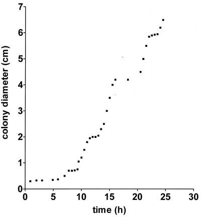 FIG. 2