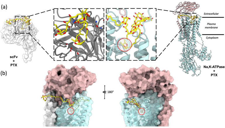 Figure 4: