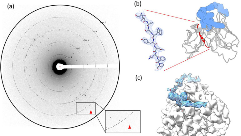 Figure 2.