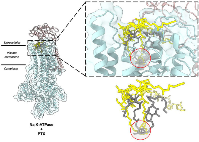 Figure 5: