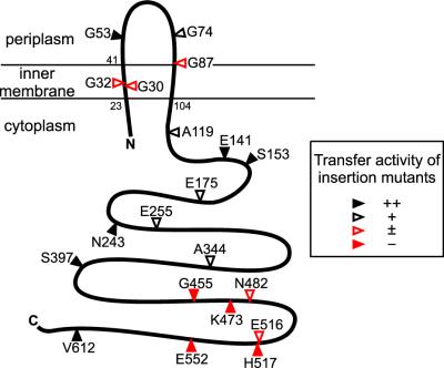 FIG. 4.