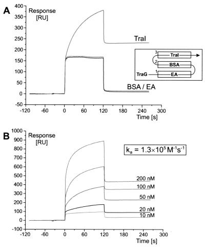 FIG. 9.