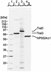 FIG. 1.