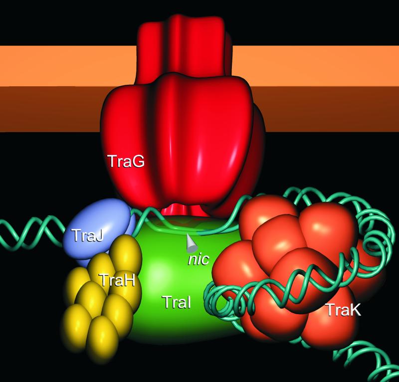 FIG. 10.