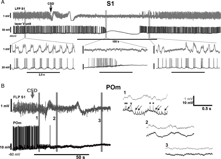 Figure 4.