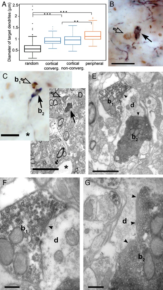 Figure 2.