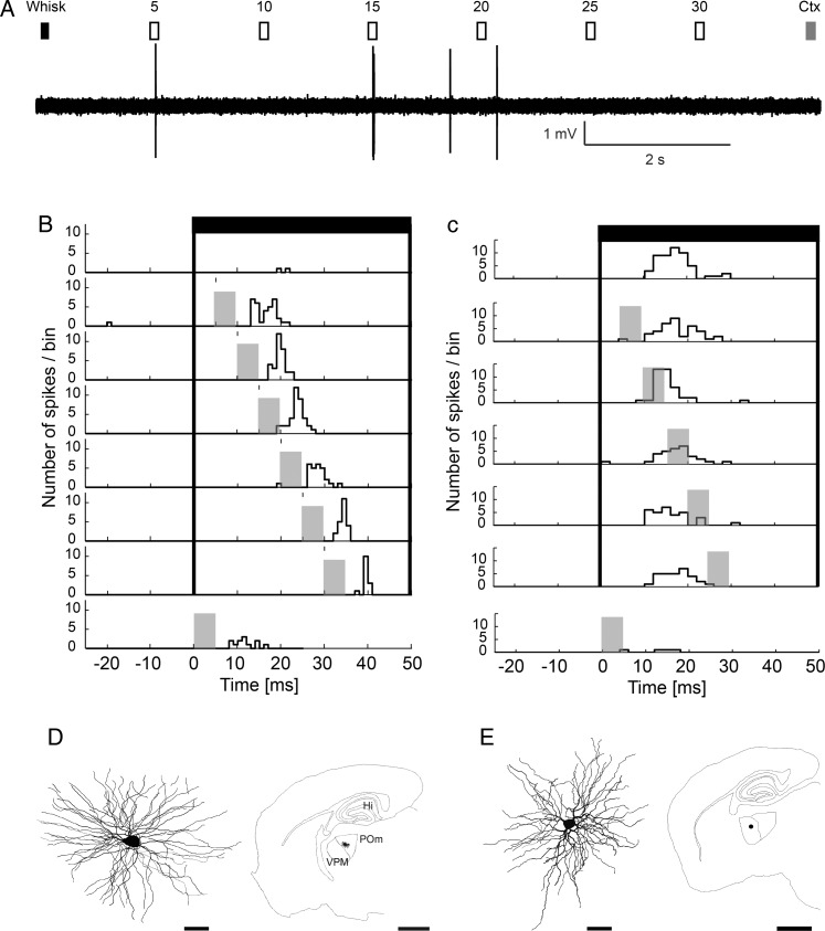 Figure 6.