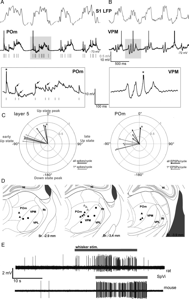 Figure 3.