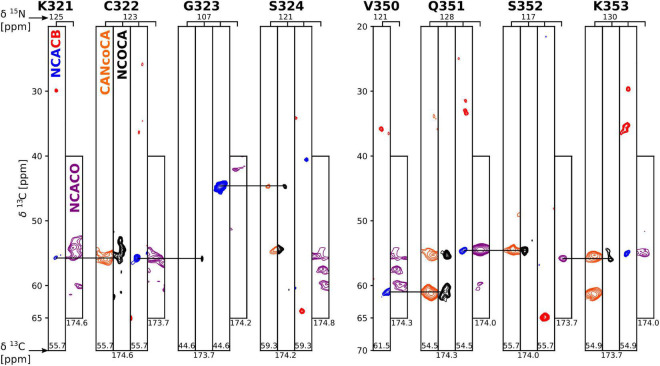 FIGURE 3