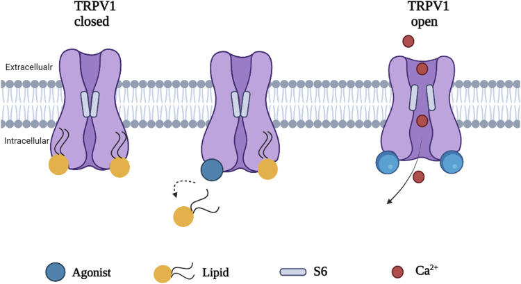 FIGURE 3