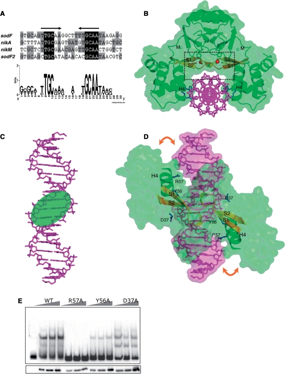 Figure 3.