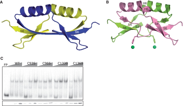 Figure 2.