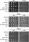 Fig. 1