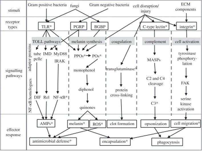 Figure 1.