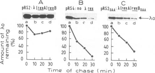 graphic file with name pnas01061-0445-a.jpg