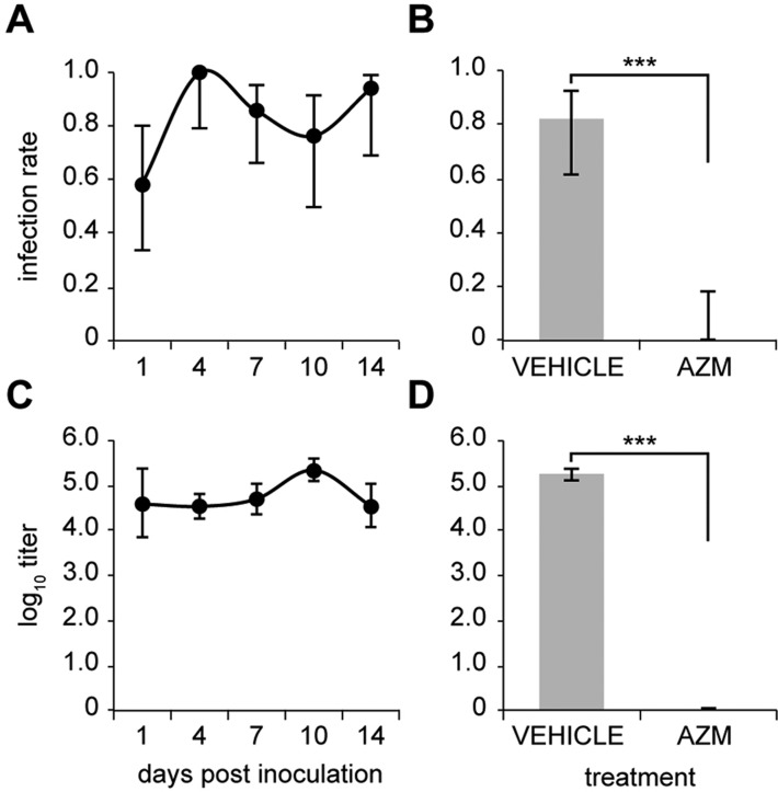 Fig. 8.