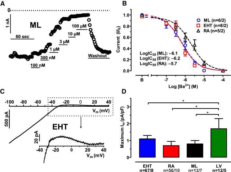 Figure 2