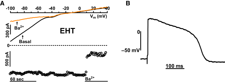 Figure 6