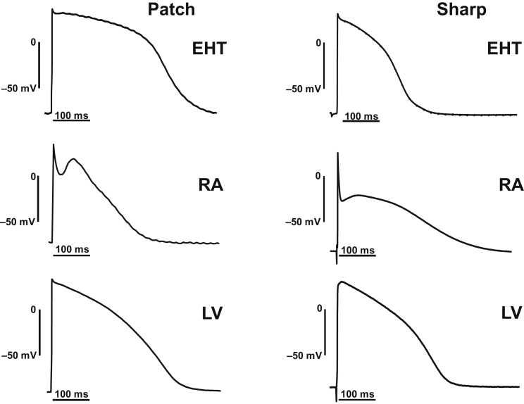 Figure 4