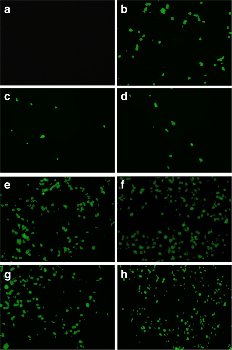 Fig. 9