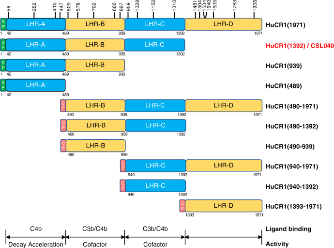 Figure 1