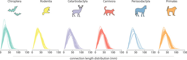 Figure 5—figure supplement 1.