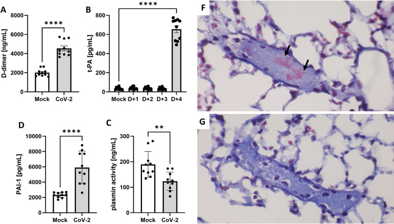 Fig 4