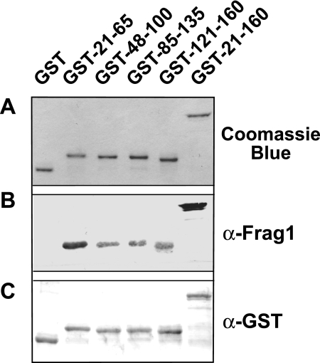 FIG. 5.