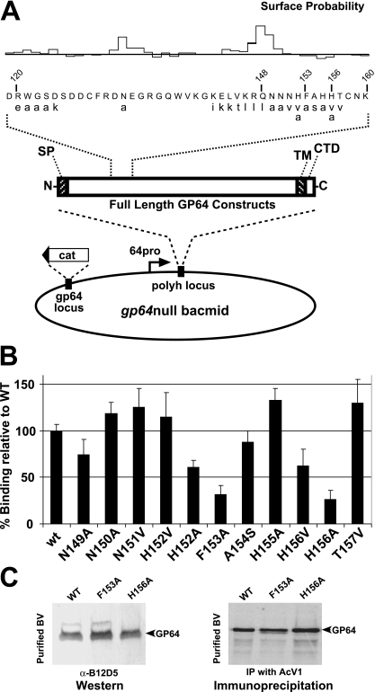 FIG. 7.