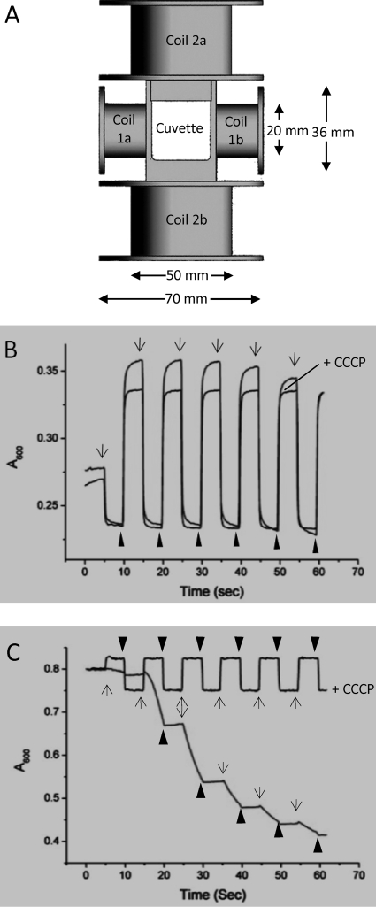 FIG. 1.