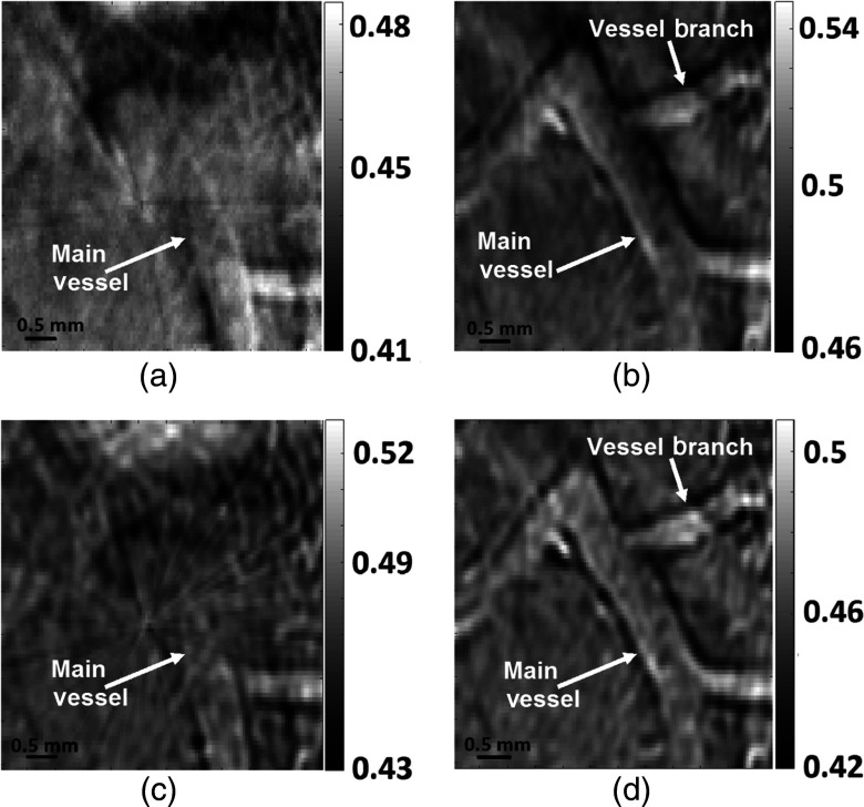 Fig. 8