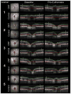 Figure 38