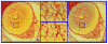 Figure 21