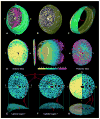 Figure 23