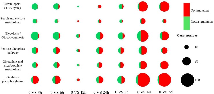 Fig 6