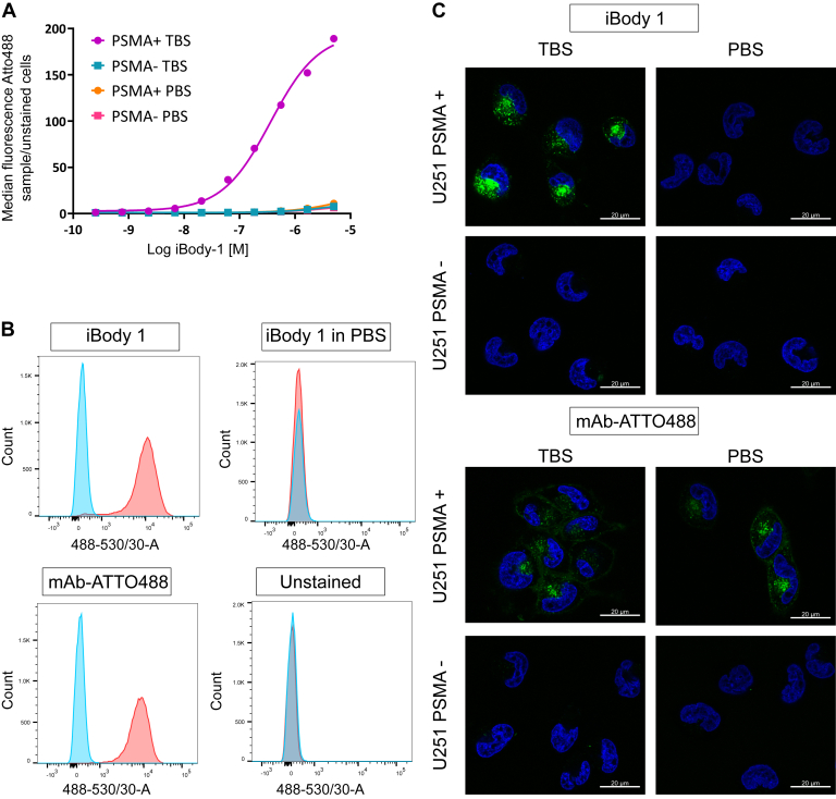 Figure 4