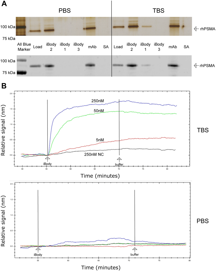 Figure 3