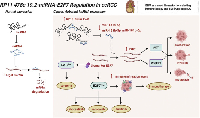 Image, graphical abstract