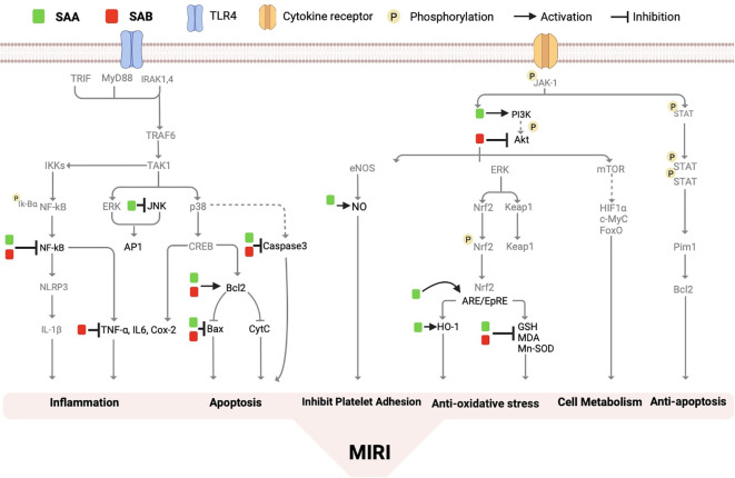 Figure 4