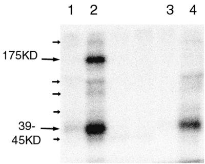 FIG. 5