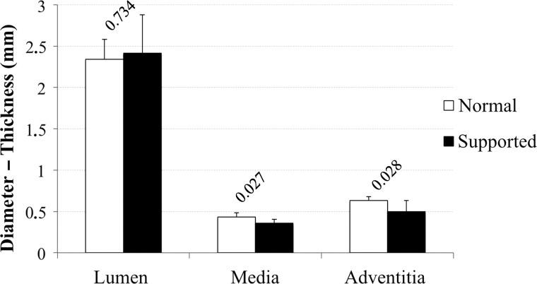 Figure 5: