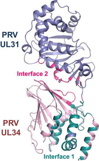 Figure EV3