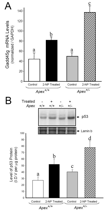 Fig. 8