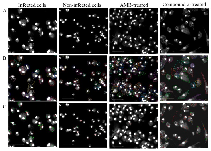 Figure 4