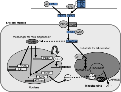 FIG. 7.