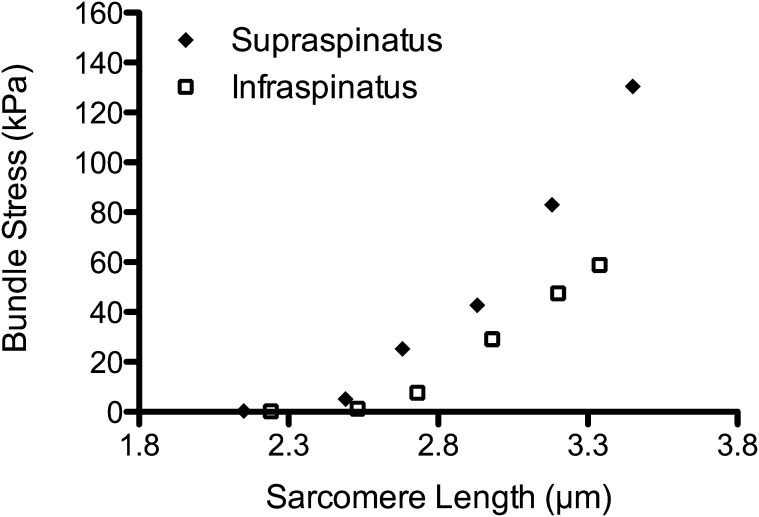 Fig. 1-B