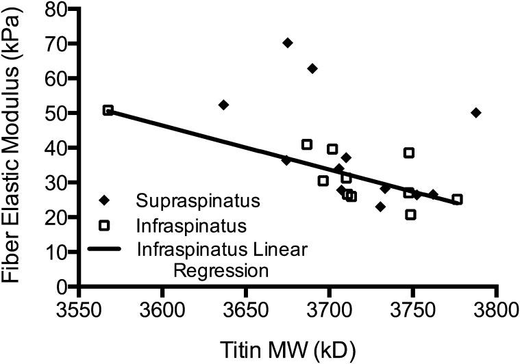 Fig. 3-A