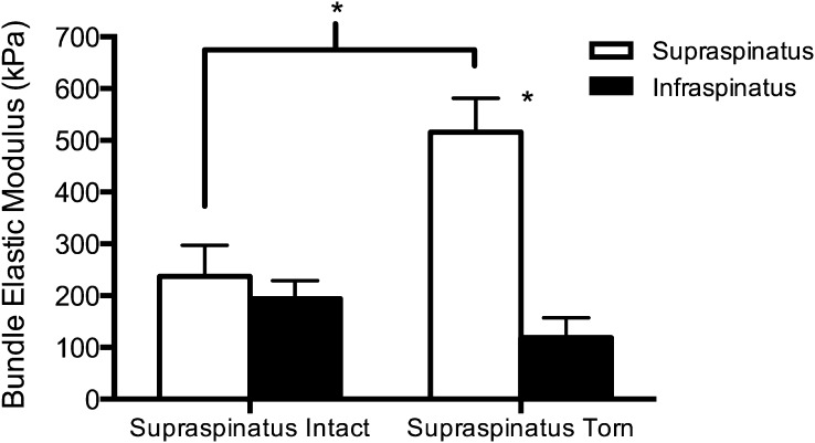 Fig. 2-B