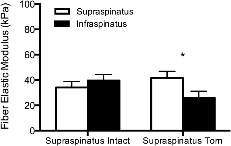 Fig. 2-A